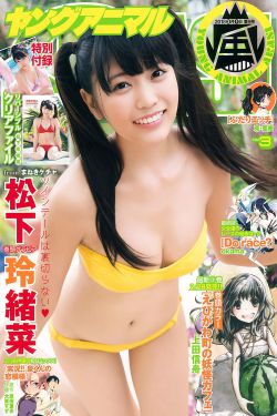 我的阿勒泰电视剧免费观看